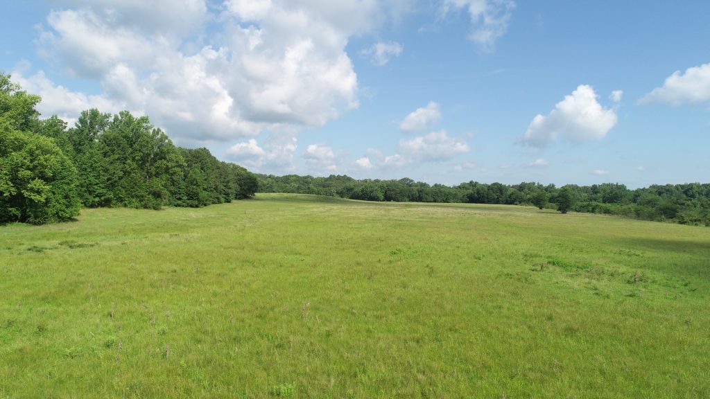 Find Dump Hours in Desoto Parish A Comprehensive Guide to Stonewall