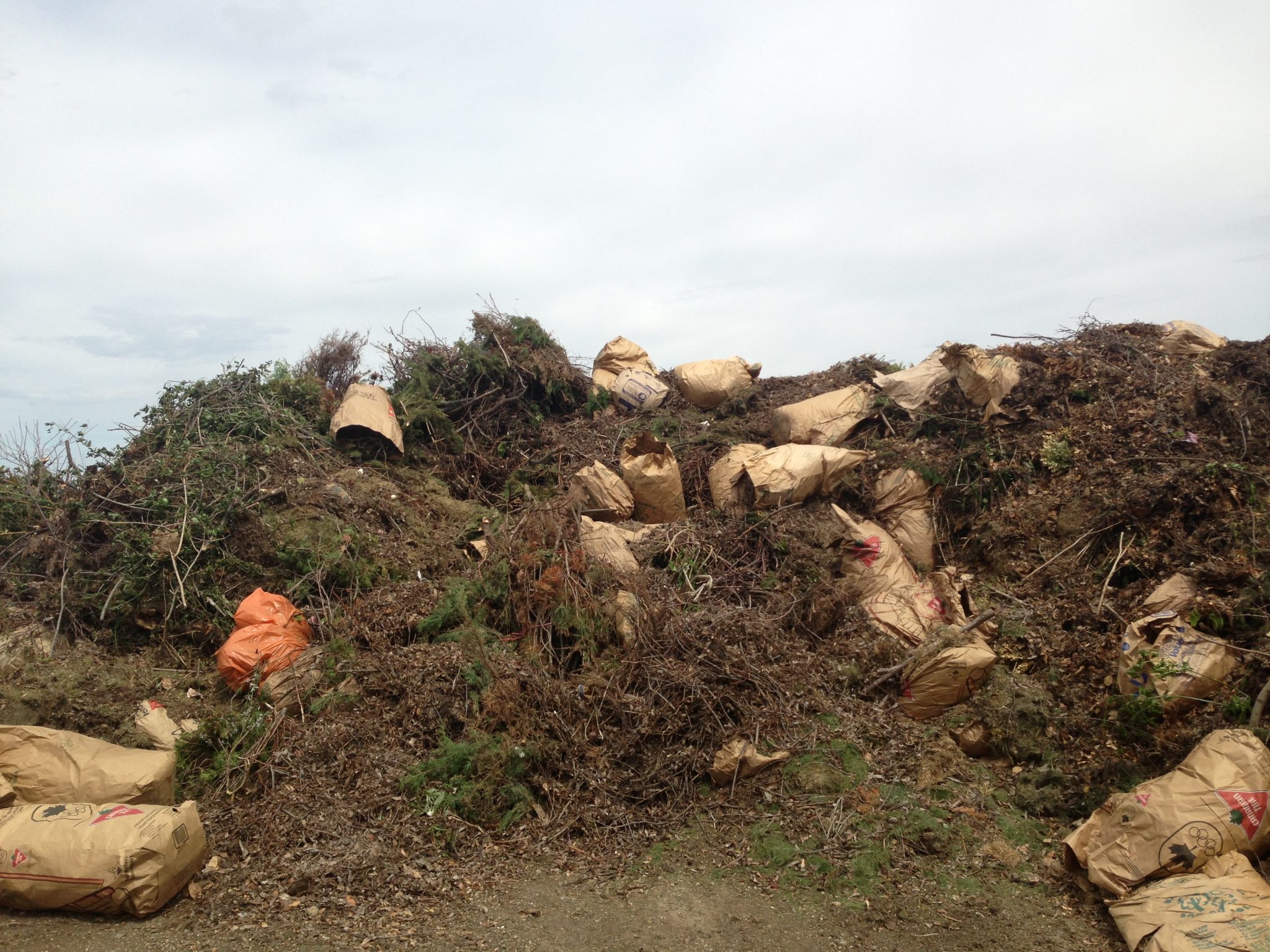 Yorktown, NY Dump Hours A Comprehensive Guide to Waste Disposal